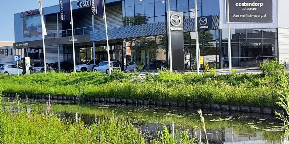 Mazda Den Bosch